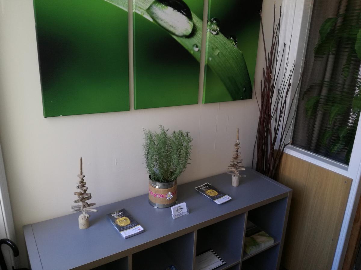 Driftwood B&B Γουέιμουθ Εξωτερικό φωτογραφία